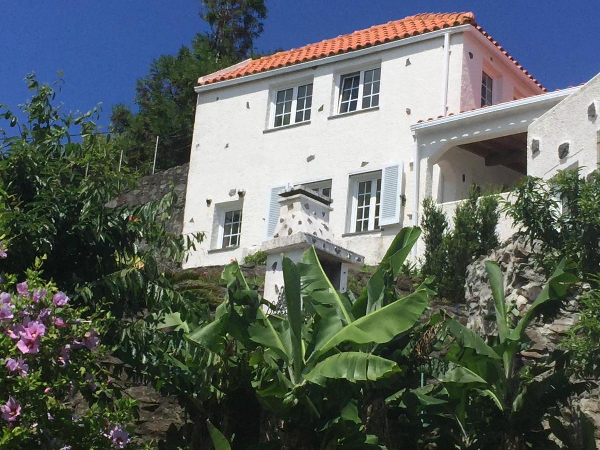 Vivenda Flores - Apartment Hibisco Lomba  外观 照片